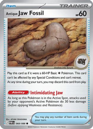Antique Jaw Fossil 068/null [ME03 Perfect Order]